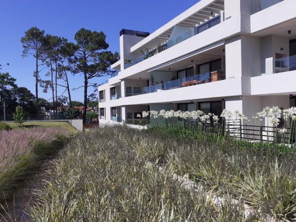 Verdenia