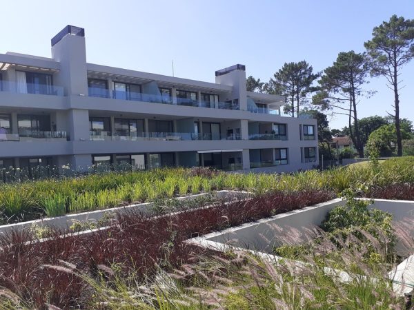 Verdenia - Imagen 4